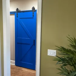 Unique blue barn door