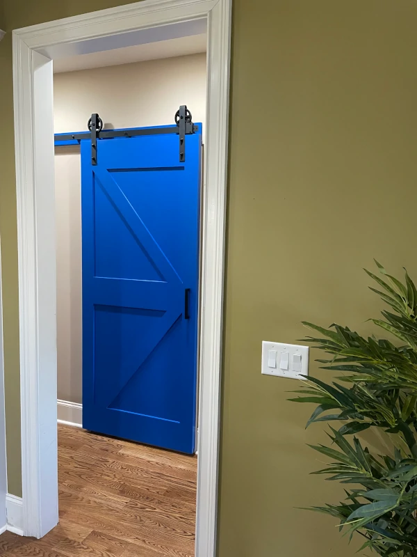Unique blue barn door